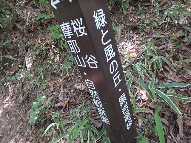 f0334143_7425533.jpg