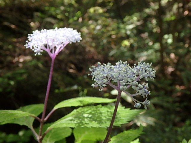 f0334143_7433394.jpg