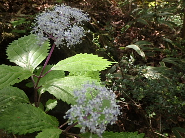 f0334143_7434263.jpg