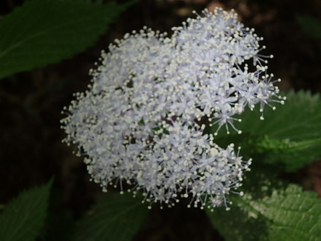 f0334143_744649.jpg