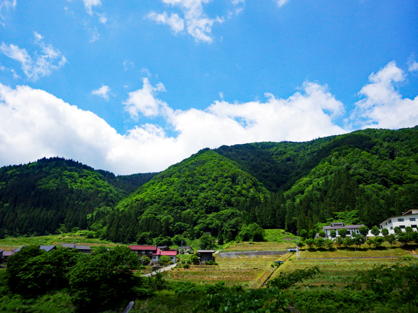 Fly Fisher On Lineの撮影取材と週末のTEALツアーin浜名湖のご報告_f0055244_11361970.jpg