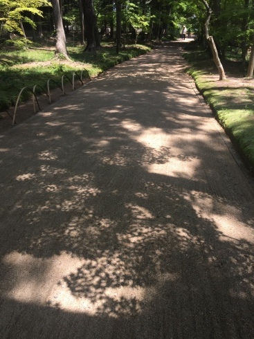 d0145345_00035429.jpeg