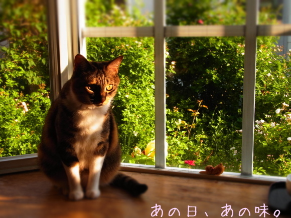 a0305046_08514316.jpg