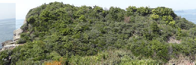 e0033751_1914276.jpg