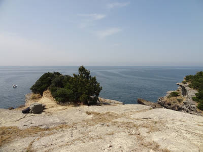 e0033751_19142838.jpg