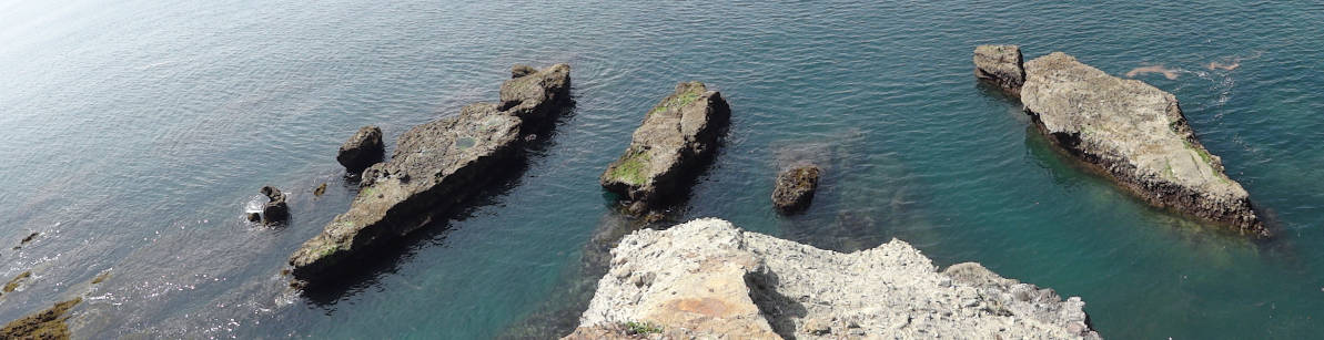 e0033751_19143519.jpg
