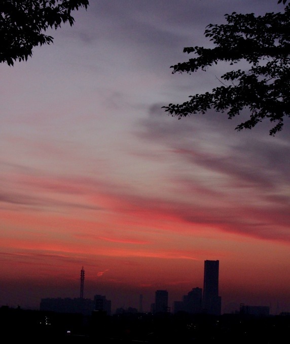 a0248459_14391145.jpg