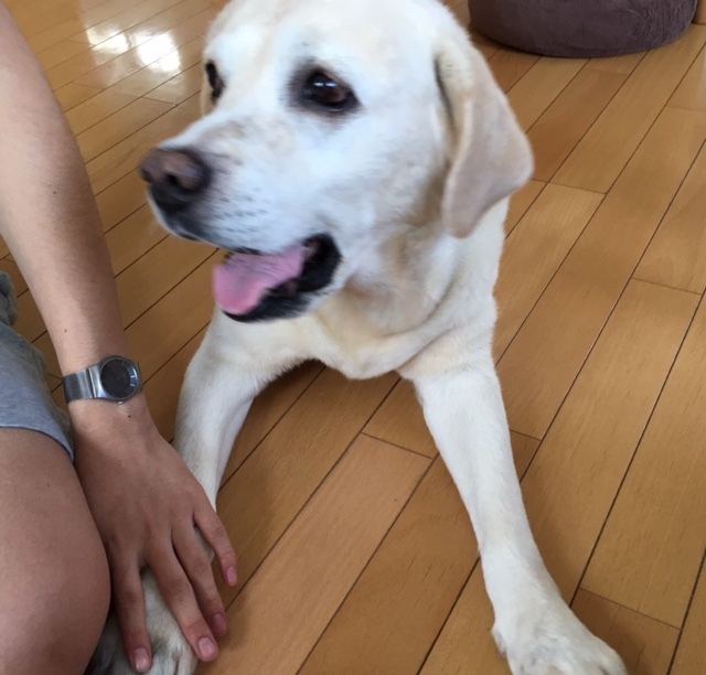 good friend 次男とサージュ_a0165160_16571361.jpg