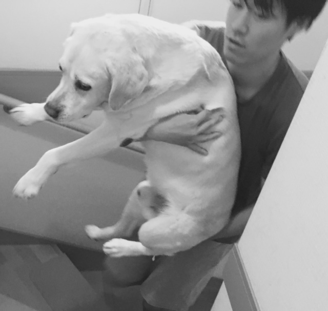 good friend 次男とサージュ_a0165160_17033443.jpg