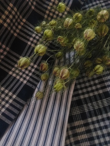 c0172261_08443436.jpg