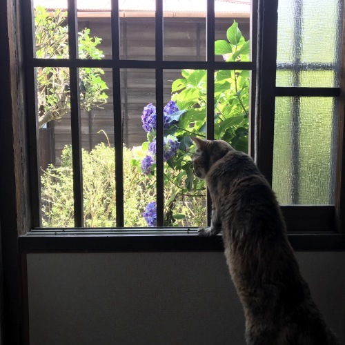 a0259565_15374415.jpeg