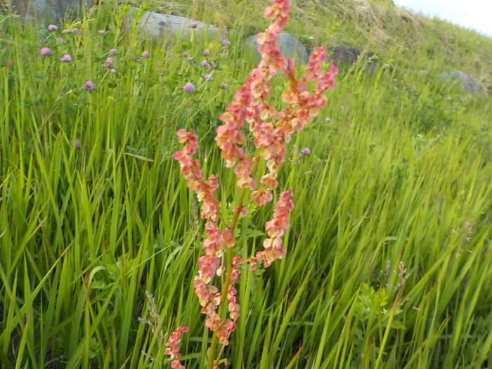 f0301766_20002010.jpg
