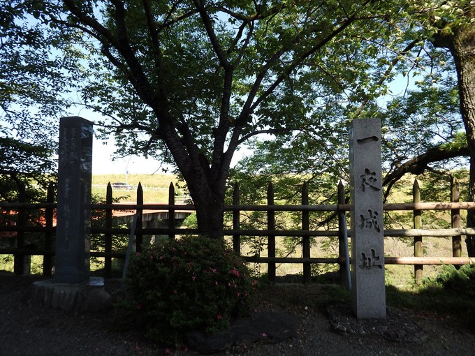d0054276_20381086.jpg