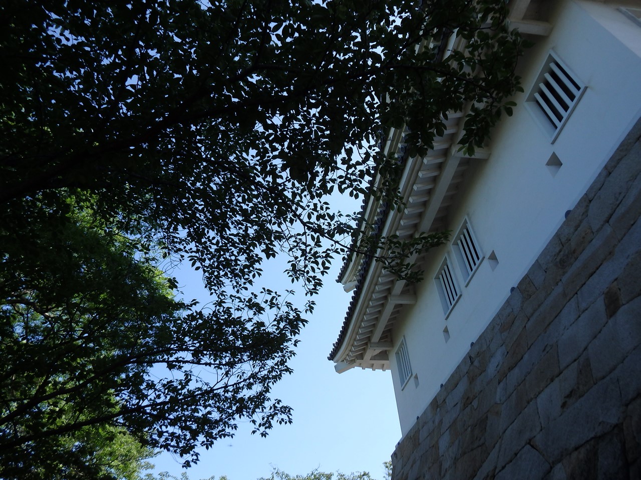 d0054276_20382734.jpg