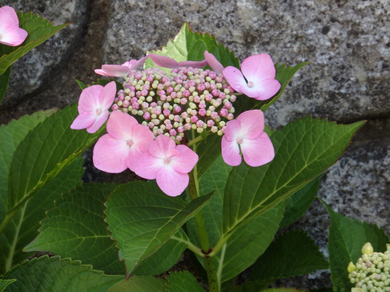 d0054276_2038547.jpg