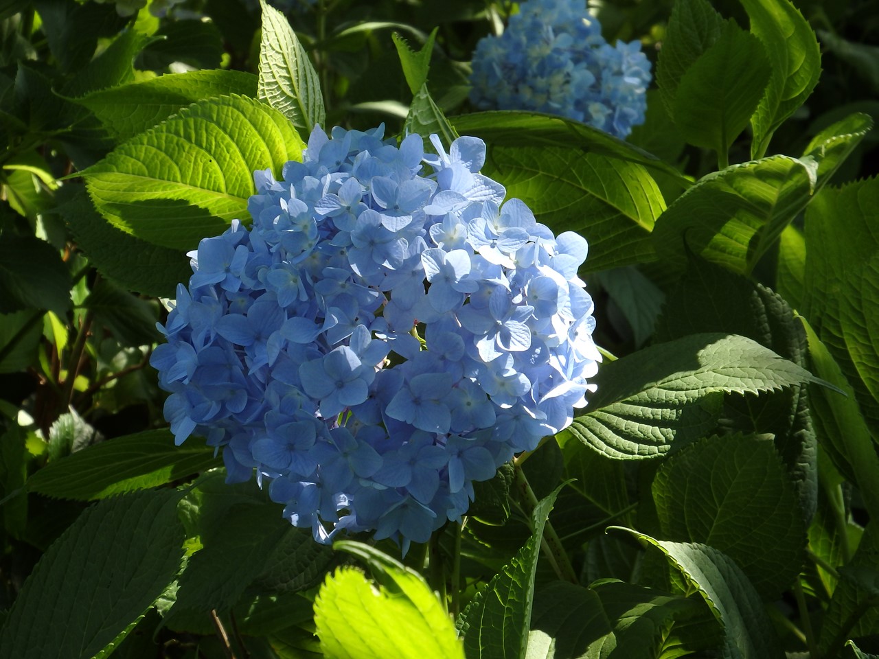 d0054276_20415153.jpg