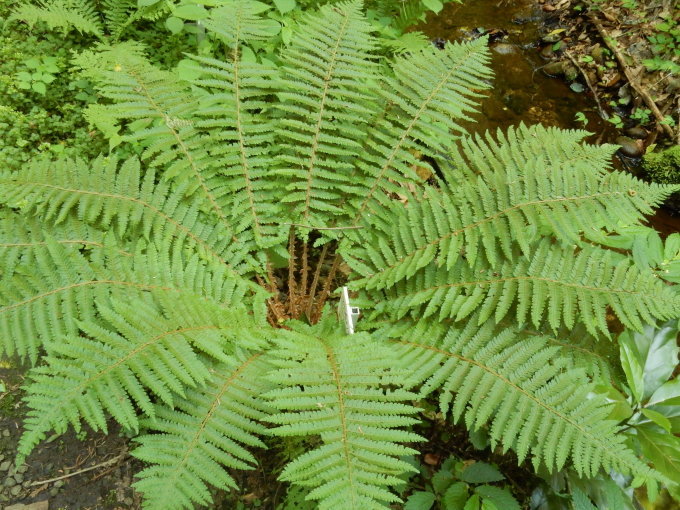 e0355177_20240003.jpg