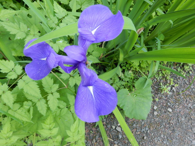e0355177_20275407.jpg