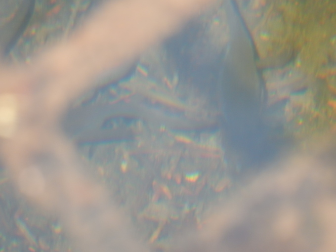 e0355177_20313186.jpg