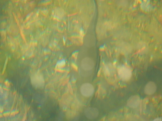 e0355177_20343465.jpg