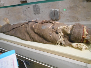 f0222378_750323.jpg