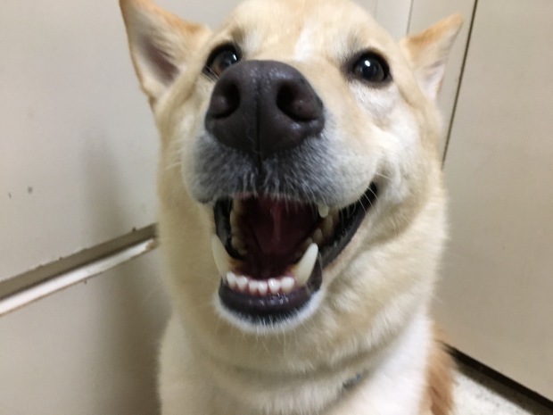 b0377882_14570697.jpeg