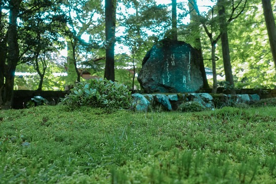 e0176993_06182776.jpg