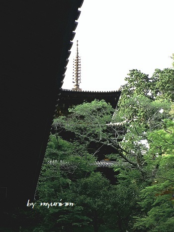 d0151694_15541295.jpg