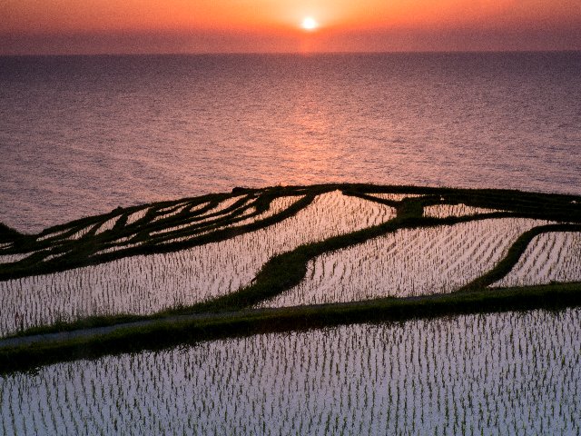 能登半島・白米千枚田を訪ねて～♪_c0008502_19451967.jpg