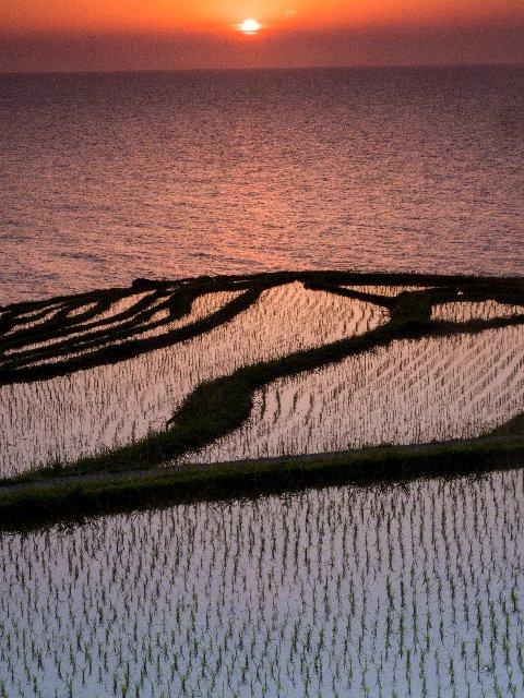 能登半島・白米千枚田を訪ねて～♪_c0008502_1959583.jpg