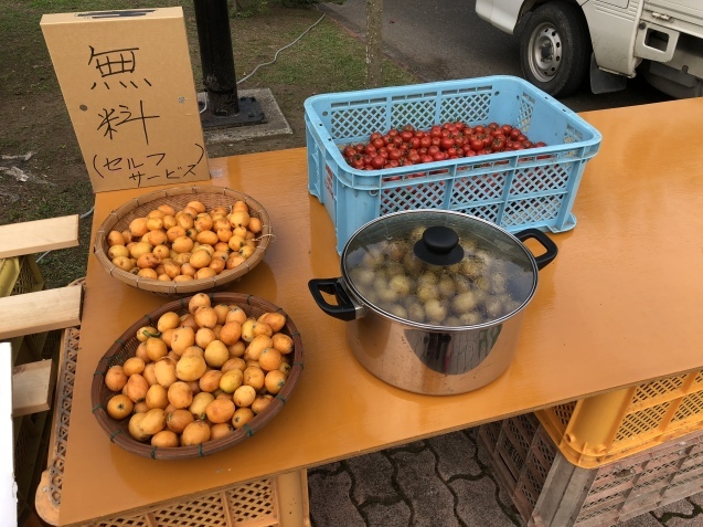 星空マテ貝コンサートin出水市高尾野町 にこにこクラリネット かわバタ子の部屋 星空マテ貝コンサートin出水市高尾野町 にこにこクラリネット かわバタ子の部屋