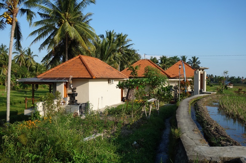 d0133704_13394997.jpg
