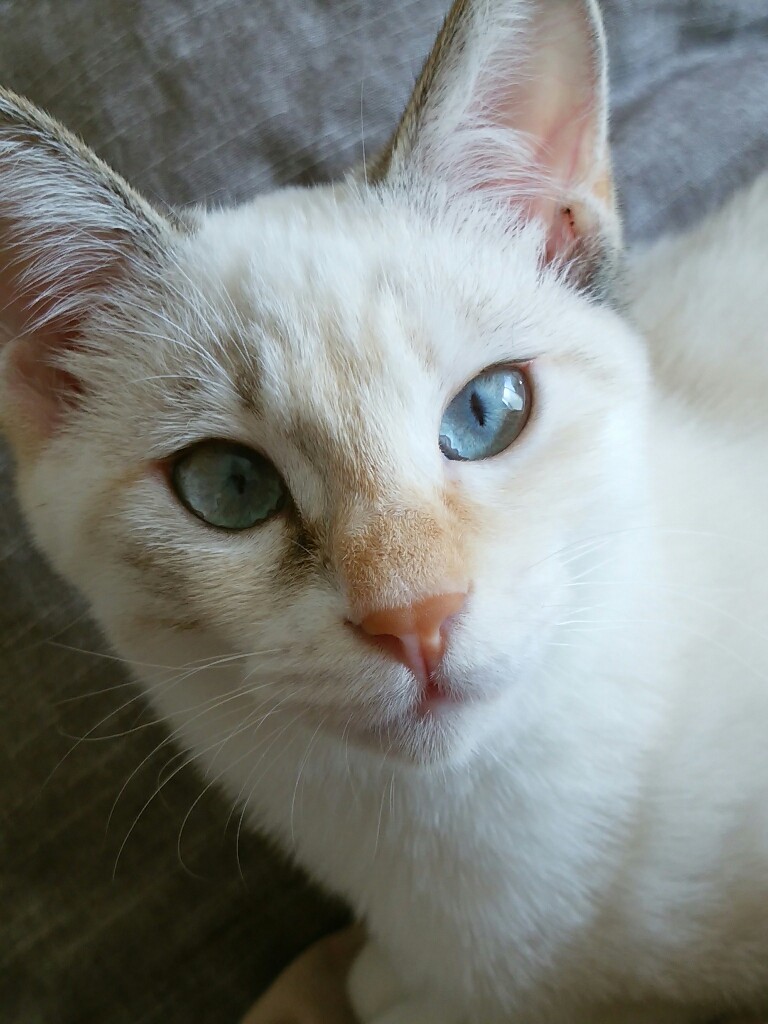 明日は誕生日…ノバだらけ①_f0255704_11483055.jpg