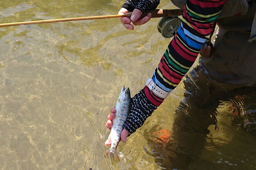 b0172805_20110840.jpg