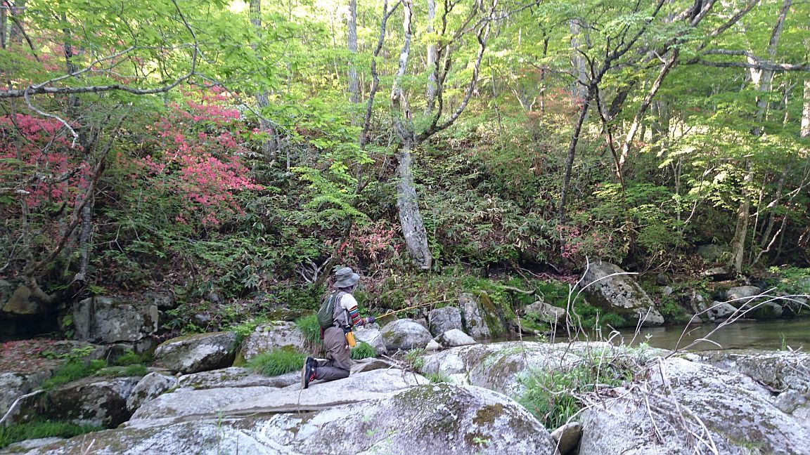 b0172805_20152107.jpg