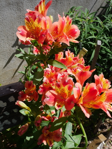 c0301808_07035625.jpg