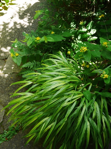 c0301808_07135847.jpg