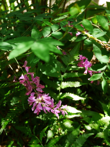 c0301808_07143312.jpg