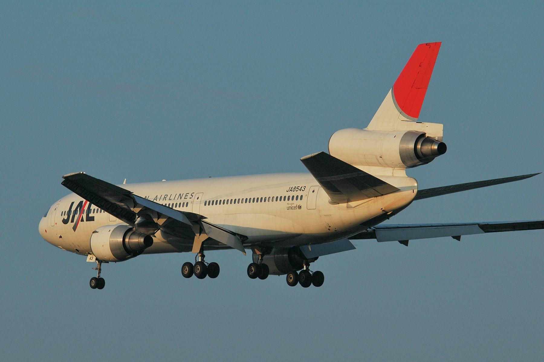 McDonnell Douglas DC-10-40 / JA8543 - JAL DC-10 運航最終日 McDonnell Douglas DC-10-40 / JA8543 - JAL DC-10 運航最終日