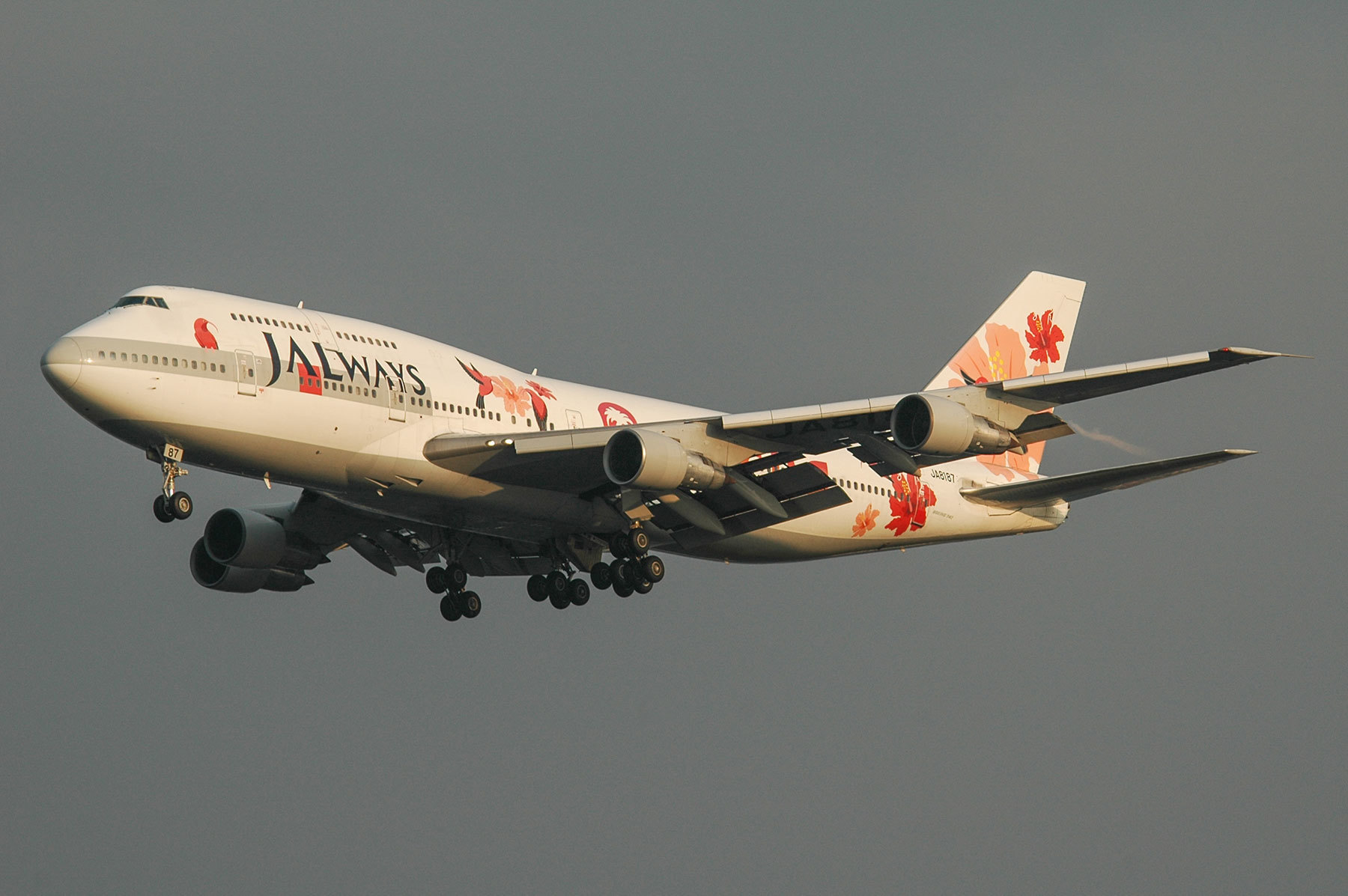 BOEING 747-300SR / JA8187 - Reso`cha - : SKY LOUNGE GARDEN