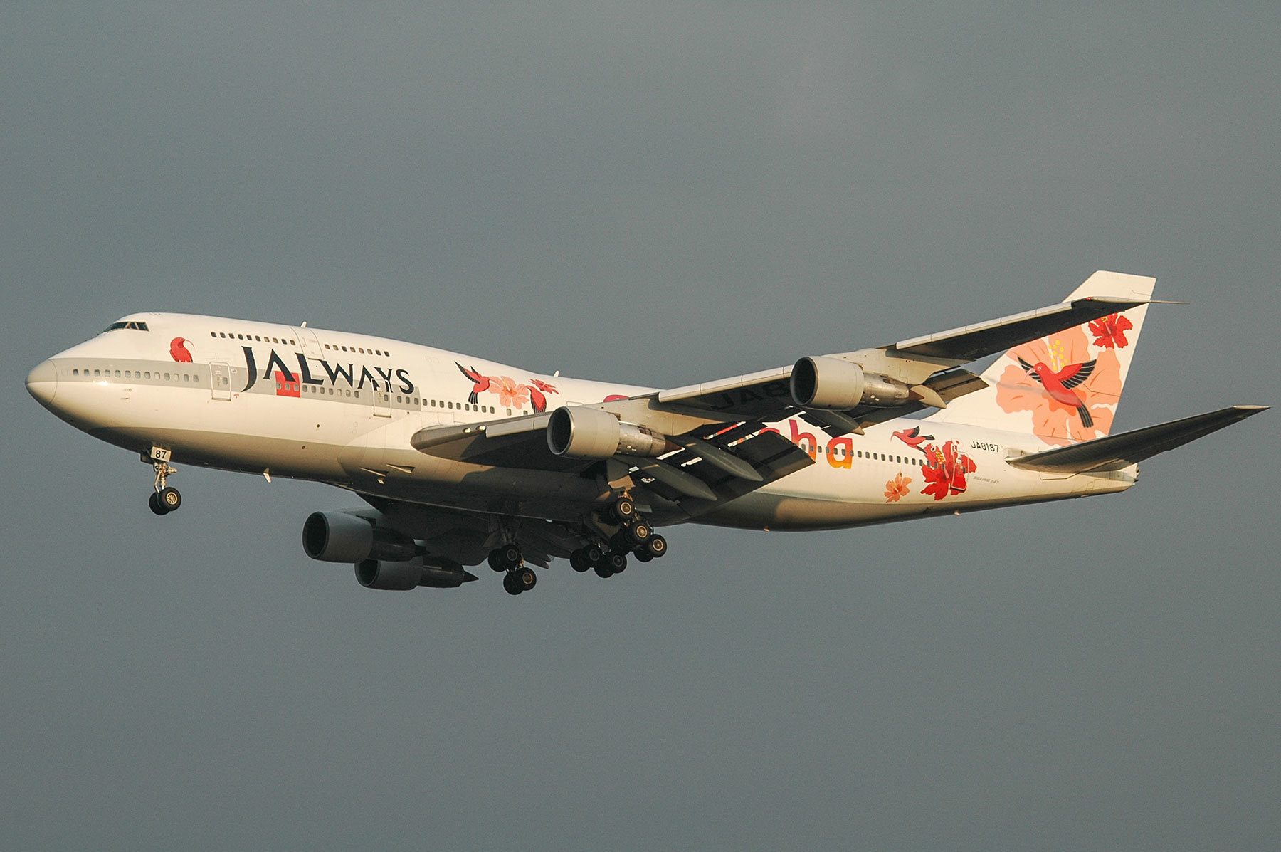 JALWAYS Reso'cha 日本航空 BOEING 747-300SR / JA8187 - Reso`cha - : SKY LOUNGE GARDEN