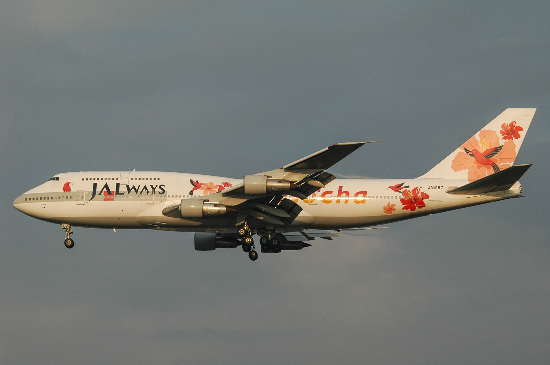 BOEING 747-300SR / JA8187 - Reso`cha - : SKY LOUNGE GARDEN BOEING 747-300SR / JA8187 - Reso`cha - : SKY LOUNGE GARDEN