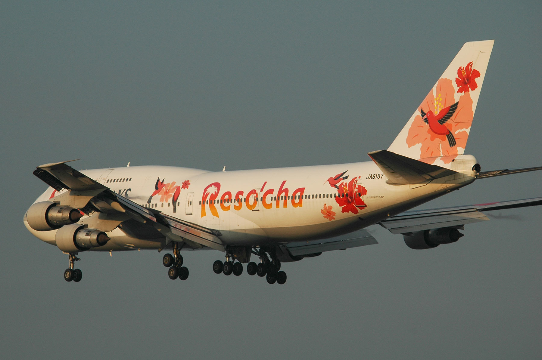 JALWAYS Reso'cha 日本航空 リゾッチャ - Wikipedia