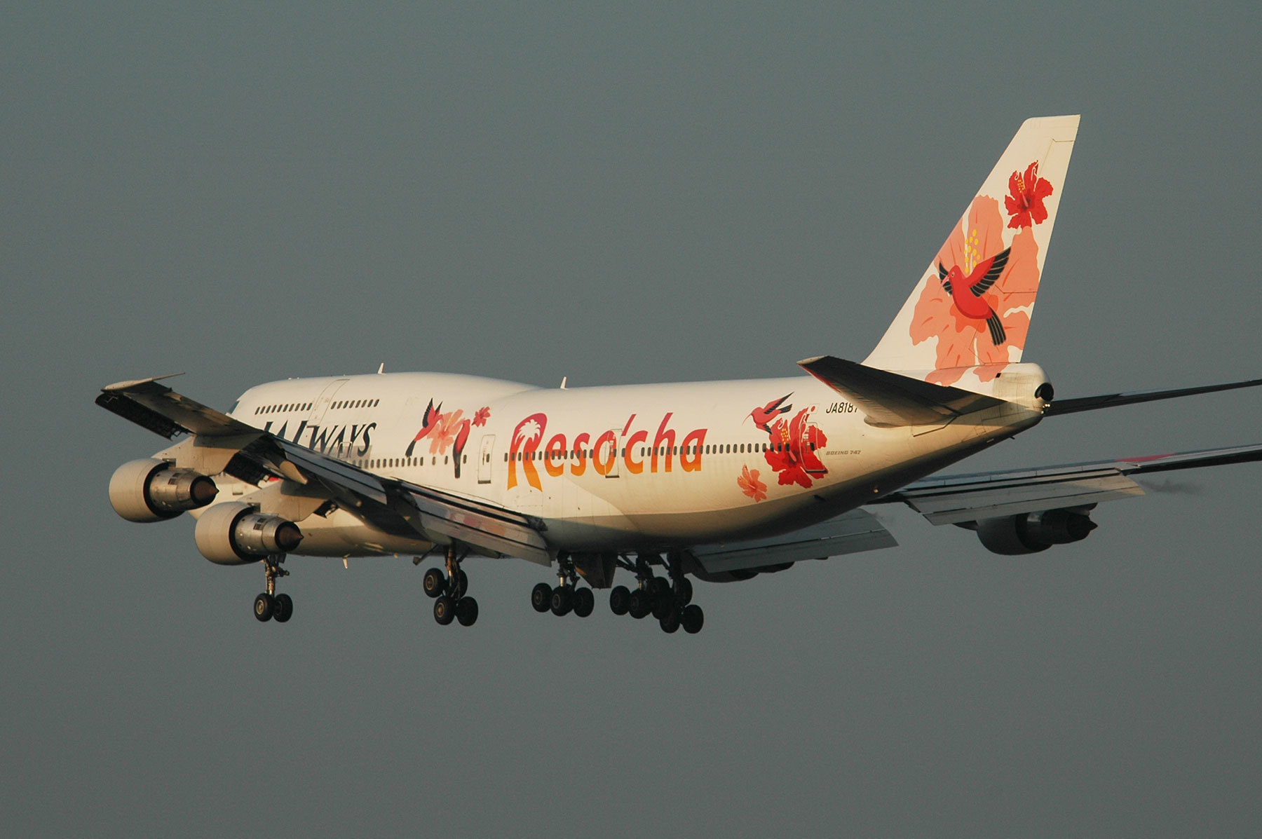 BOEING 747-300SR / JA8187 - Reso`cha - : SKY LOUNGE GARDEN