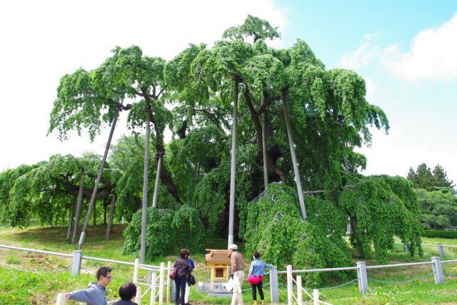 d0178511_20031673.jpg