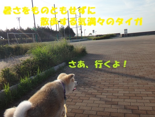 f0121712_08400506.jpg