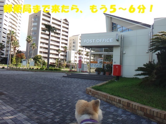 f0121712_09194799.jpg