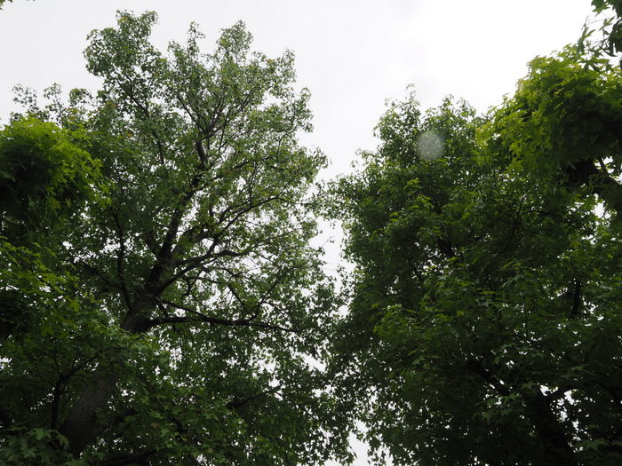 c0116915_23403077.jpg