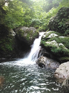 蕎麦粒山・大谷川沢ハイキング〜タカノス谷見学_c0359615_21584577.jpg