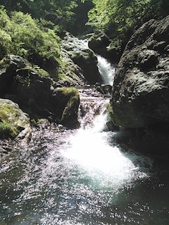 蕎麦粒山・大谷川沢ハイキング〜タカノス谷見学_c0359615_21585847.jpg